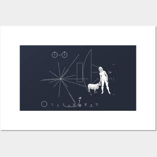 Pioneer plaque Stupid men Posters and Art